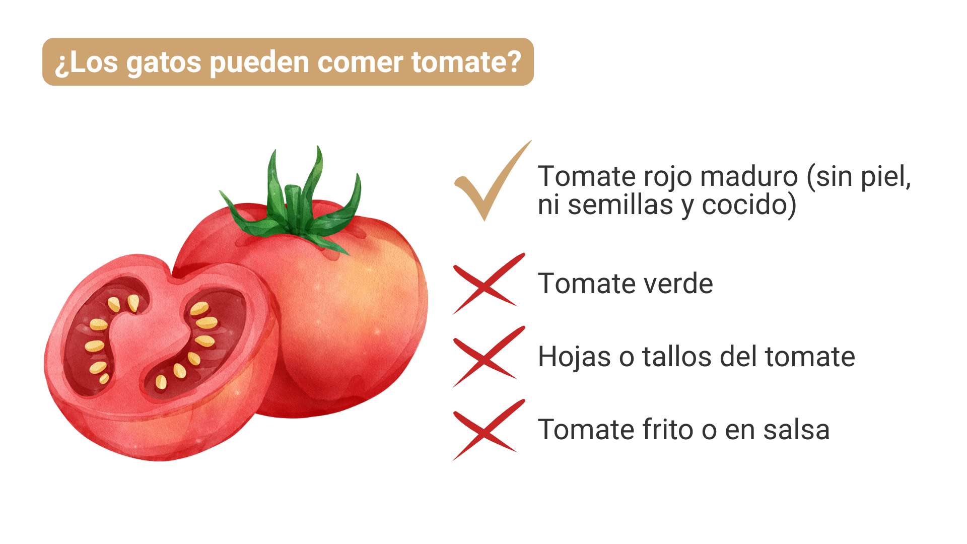Qué tomates pueden comer los gatos